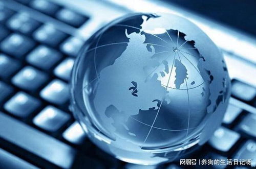 網(wǎng)絡(luò)文化經(jīng)營(yíng)新路徑 湖南助企文化傳媒解析企業(yè)為何必須開展網(wǎng)絡(luò)營(yíng)銷